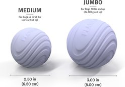 Playology Lamb Scented Dual Layer Ball Dog Toy, Jumbo slide 2 of 6