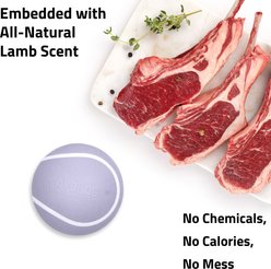 Playology Lamb Scented Squeaky Chew Ball Dog Toy, Jumbo slide 2 of 6