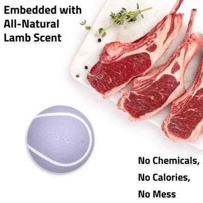 Show full view: Playology Lamb Scented Squeaky Chew Ball Dog Toy, Medium slide 4 of 6