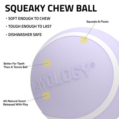 Show full view: Playology Lamb Scented Squeaky Chew Ball Dog Toy, Medium slide 2 of 6