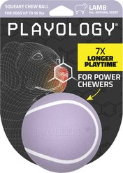 Playology Lamb Scented Squeaky Chew Ball Dog Toy, Medium