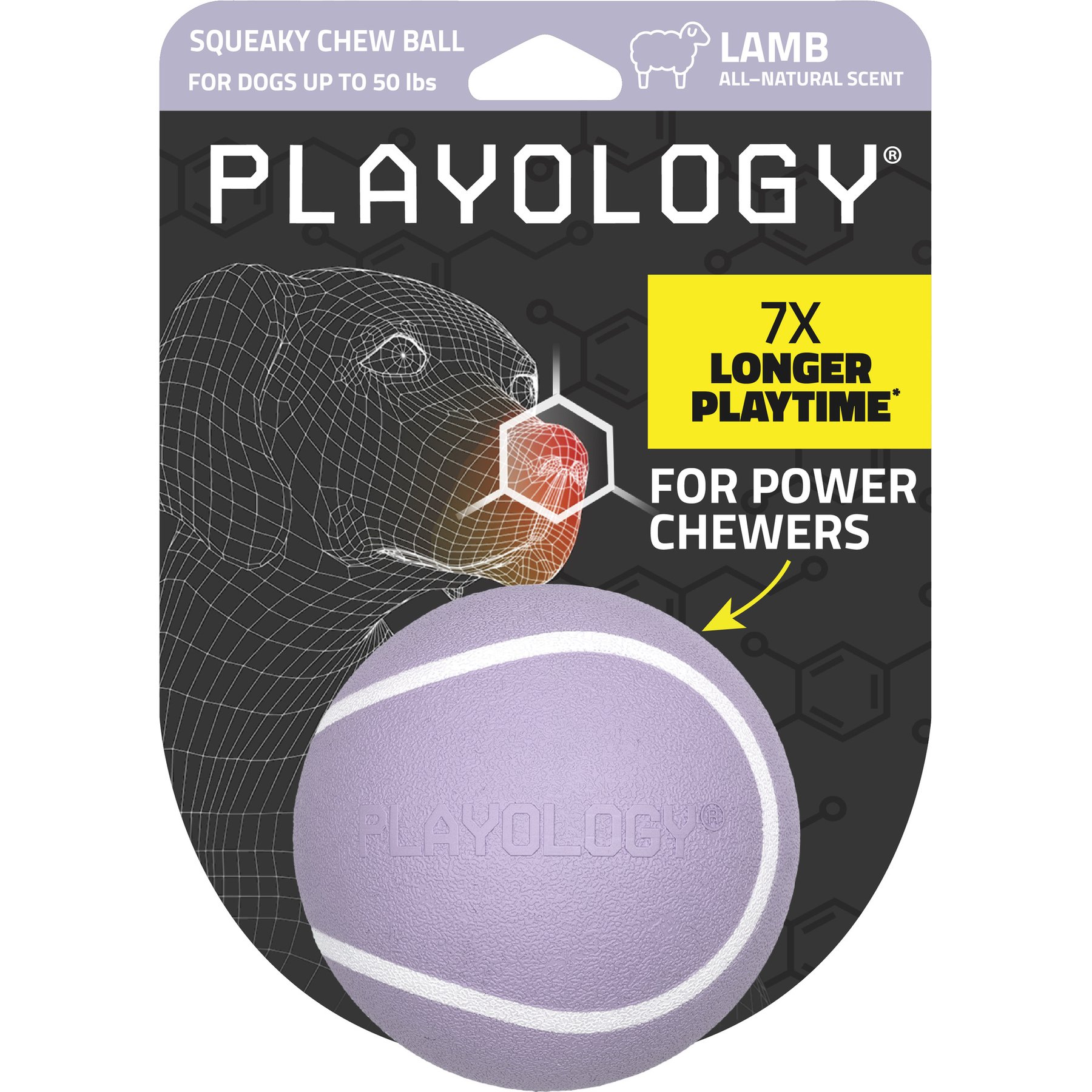 Playology Lamb Scented Squeaky Chew Ball Dog Toy, Medium