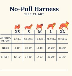 Lucy & Co. Oh My Gourd No-Pull Dog Harness, Medium: 17 to 23-in chest slide 2 of 5