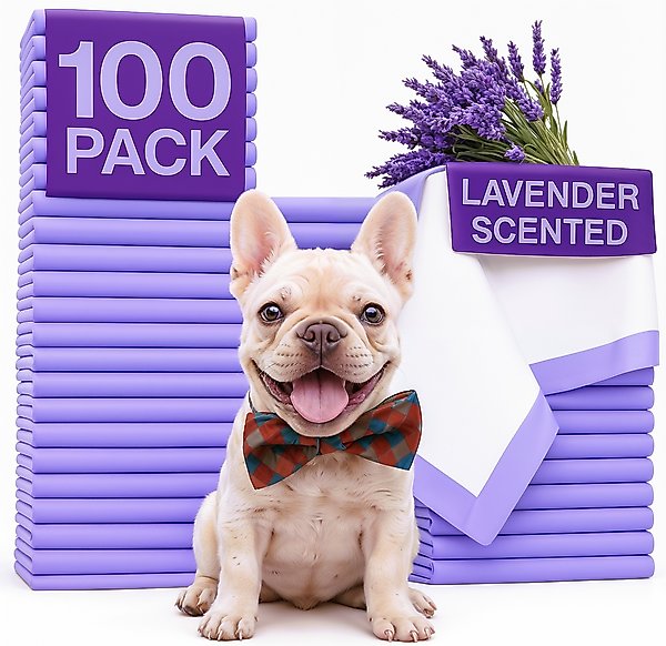 Show full view: Green Lifestyle Disposable Lavender Scented Dog & Cat Pee Pads, 100 count slide 1 of 7
