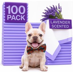 Green Lifestyle Disposable Lavender Scented Dog & Cat Pee Pads, 100 count