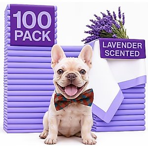Green Lifestyle Disposable Lavender Scented Dog & Cat Pee Pads, 100 count