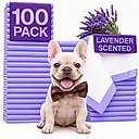 Green Lifestyle Disposable Lavender Scented Dog & Cat Pee Pads, 100 count