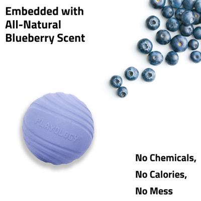 Show full view: Playology Blueberry Scented Dual Layer Ball Dog Toy, Jumbo slide 4 of 6