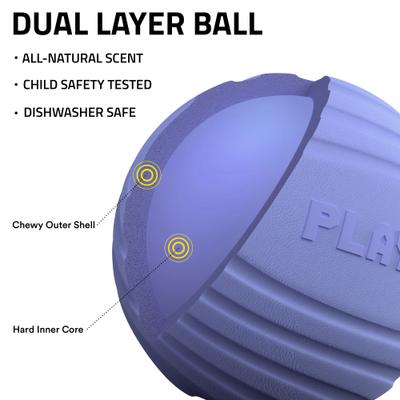 Show full view: Playology Blueberry Scented Dual Layer Ball Dog Toy, Jumbo slide 2 of 6