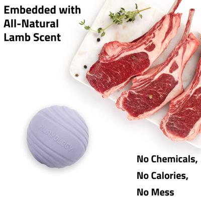 Show full view: Playology Lamb Scented Dual Layer Ball Dog Toy, Jumbo slide 4 of 6