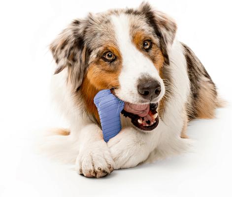 Show full view: Playology Blueberry Scented Dual Layer Bone Dog Toy, Jumbo, 1 count slide 3 of 6