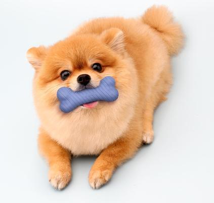 Show full view: Playology Blueberry Scented Dual Layer Bone Dog Toy, Small, 1 count slide 3 of 6