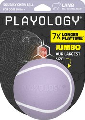 Playology Lamb Scented Squeaky Chew Ball Dog Toy, Jumbo