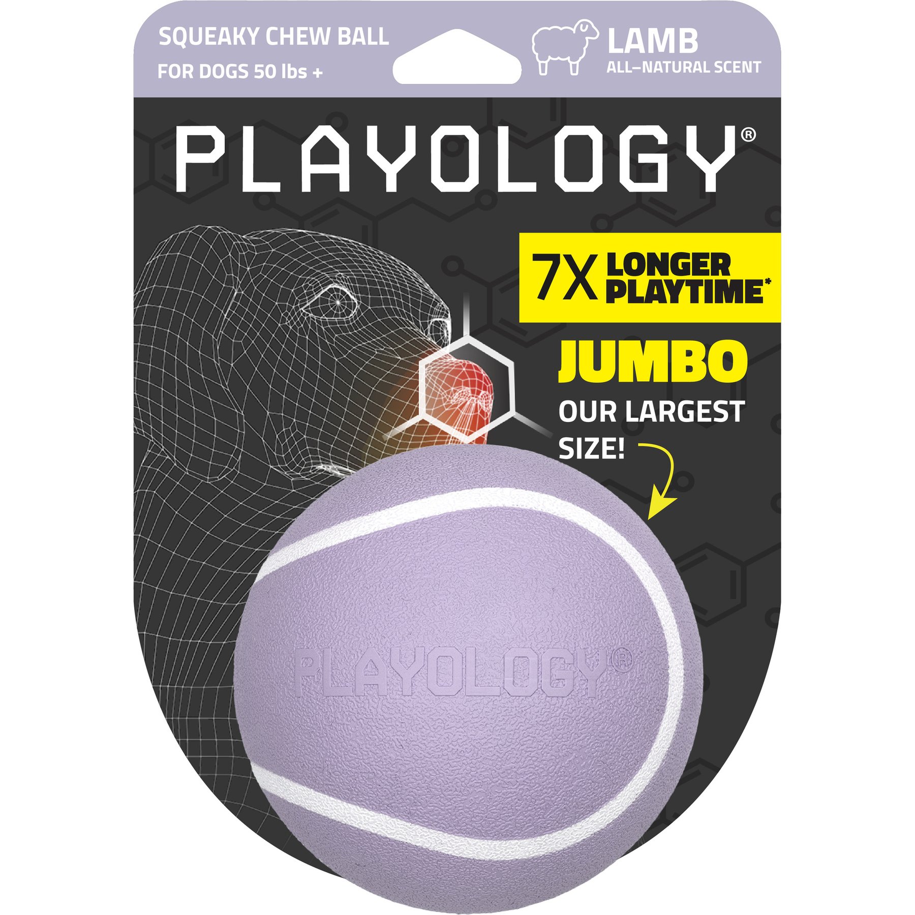 Playology Lamb Scented Squeaky Chew Ball Dog Toy, Jumbo