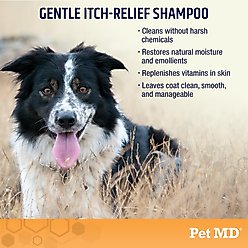 Pet MD Oatmeal & Aloe Itch Relief Dog & Cat Shampoo, 16-fl oz bottle slide 2 of 6