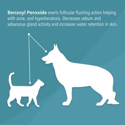 Show full view: Pet MD Benzoyl Peroxide Dog & Cat Shampoo, 12-fl oz bottle slide 5 of 7