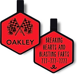 Besties Mini Speed Zone Racing Jingle-Free Silicone Dog ID Tag, Red