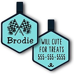 Besties Mini Speed Zone Racing Jingle-Free Silicone Dog ID Tag, Sky Blue