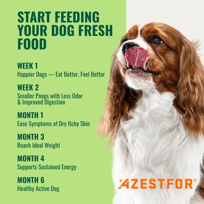 Show full view: Azestfor Homemade Dog Food Veggie Flavored Powder Multivitamins for Dogs, 1-lb bag slide 10 of 10