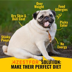 Azestfor Homemade Dog Food Chicken Flavored Powder Vitamins for Dogs, 1-lb bag slide 2 of 8