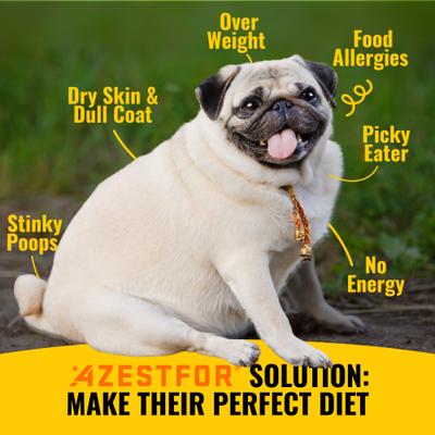 Show full view: Azestfor Homemade Dog Food Chicken Flavored Powder Vitamins for Dogs, 1-lb bag slide 4 of 10