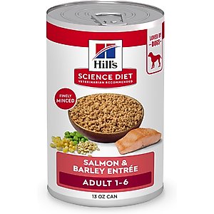Hill's Science Diet Adult Salmon & Barley Entree Minced Canned Wet Dog Food, 13-oz can, 12 count