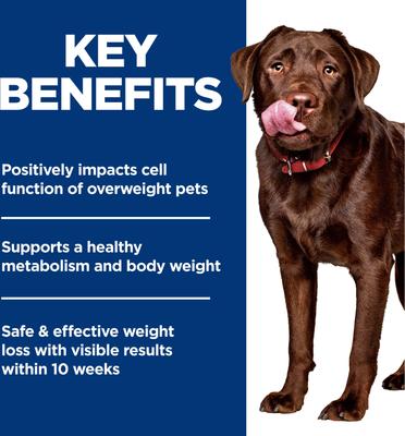 Show full view: Hill's Science Diet Adult Perfect Weight Management Large Breed Chicken Dry Dog Food, 25-lb bag slide 6 of 12