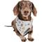 Show in main carousel: Sassy Woof Harry Potter Watercolor Dog Bandana, Small: 13-in neck slide 6 of 8