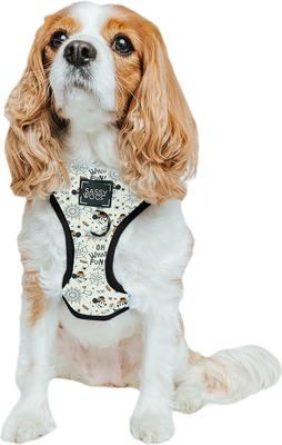 Show full view: Sassy Woof Mickey Mouse Halloween Adjustable Dog Harness, Small: 16 to 21-in chest slide 5 of 7