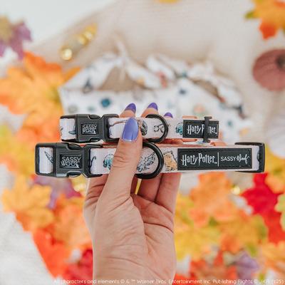 Show full view: Sassy Woof Harry Potter Watercolor Dog Collar, Large: 26-in neck, 1-in wide slide 5 of 8
