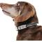 Show in main carousel: Sassy Woof Harry Potter Watercolor Dog Collar, Large: 26-in neck, 1-in wide slide 7 of 8