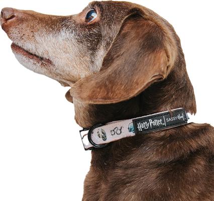 Show full view: Sassy Woof Harry Potter Watercolor Dog Collar, Large: 26-in neck, 1-in wide slide 7 of 8