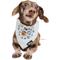 Show in main carousel: Sassy Woof Mickey Mouse Halloween Dog Bandana, Large: 21.5-in neck slide 6 of 8