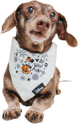 Show full view: Sassy Woof Mickey Mouse Halloween Dog Bandana, Large: 21.5-in neck slide 6 of 8