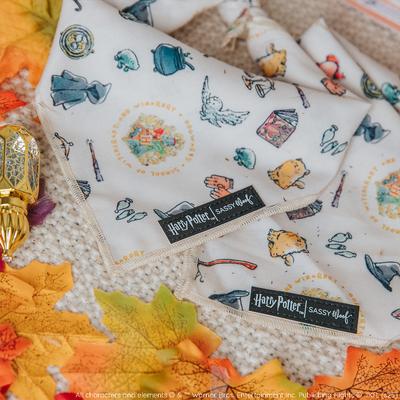 Show full view: Sassy Woof Harry Potter Watercolor Dog Bandana, Small: 13-in neck slide 4 of 8