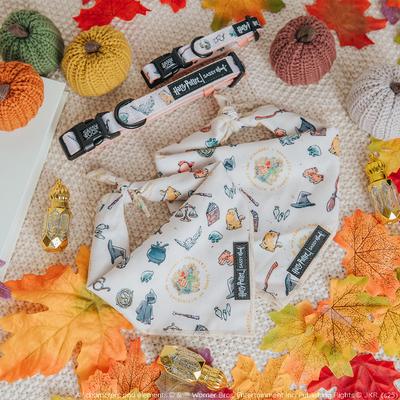 Show full view: Sassy Woof Harry Potter Watercolor Dog Bandana, Small: 13-in neck slide 5 of 8