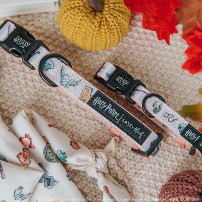 Show full view: Sassy Woof Harry Potter Watercolor Dog Collar, Large: 26-in neck, 1-in wide slide 6 of 8