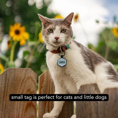 Show full view: Besties Nothin’ But Net Basketball Jingle-Free Silicone Dog ID Tag, Sage slide 9 of 10