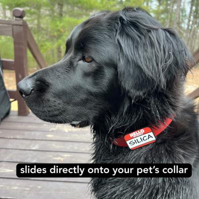 Show full view: Besties Hello My Name Is Personalized Silicone Slide-On Dog & Cat ID Tag, Red slide 4 of 7
