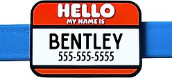 Besties Hello My Name Is Personalized Silicone Slide-On Dog & Cat ID Tag, Red