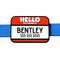 Show in main carousel: Besties Hello My Name Is Personalized Silicone Slide-On Dog & Cat ID Tag, Red slide 1 of 7