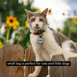 Besties Slapshot Hockey Jingle-Free Silicone Dog ID Tag, Sage slide 2 of 9