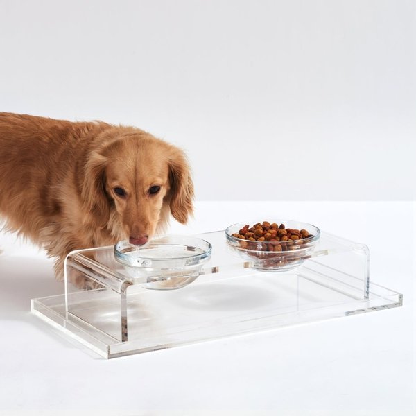 Funky Flies Fly Doggy SkateBowls Stainless Steel Elevated Dog Bowls, 3-cup