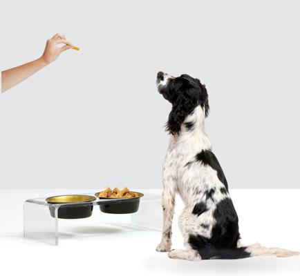 Show full view: Hiddin Double Glam Dog Bowl, Black/Gold, Small slide 5 of 5