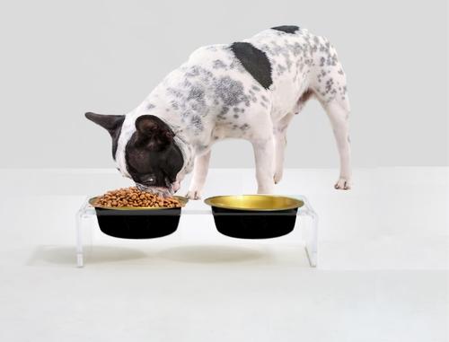 Show full view: Hiddin Double Glam Dog Bowl, Black/Gold, Small slide 2 of 5