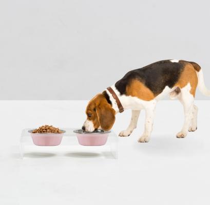 Show full view: Hiddin Clear Double 2-Tone Dog Bowl, Pink, Small slide 2 of 5