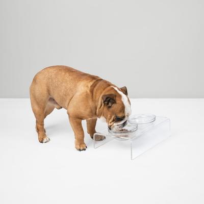 Show full view: Hiddin Clear Glass Slant Double Dog Bowl, 2-cup slide 2 of 8