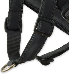 Pet Passion Remy Recycled Ribbon Dog Harness, Black, Large: 22 to 26-in chest slide 2 of 3