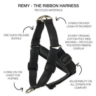 Show full view: Pet Passion Remy Recycled Ribbon Dog Harness, Black, Small: 15 to 19-in chest slide 2 of 3