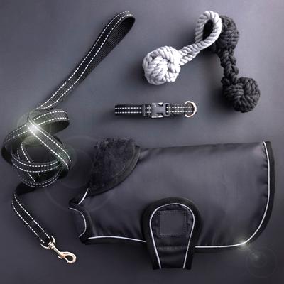 Show full view: Pet Passion Max Hardy Reflective Dog Collar, Black, X-Large: 18 to 22-in neck, 1 1/4-in wide slide 5 of 5